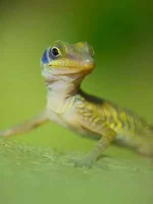 Kuba - Im Rhythmus der Natur
