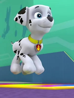 Paw Patrol, la Pat'Patrouille S1 E7