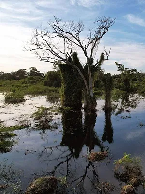 Merveilles de la nature