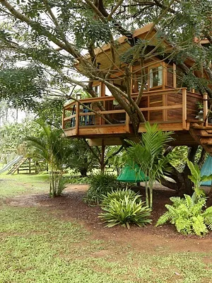 Cabanes perchées