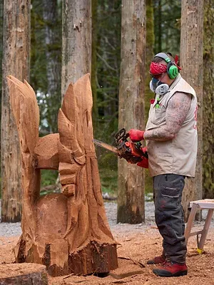 Les maîtres de la tronçonneuse