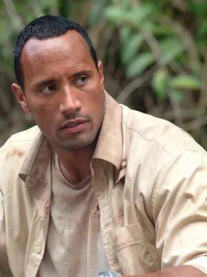 Bienvenue dans la jungle