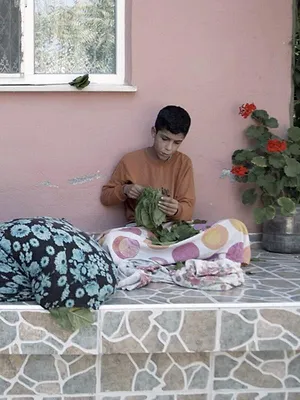 La côte turque de la mer Noire