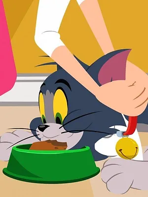 Tom et Jerry Show S1 E17