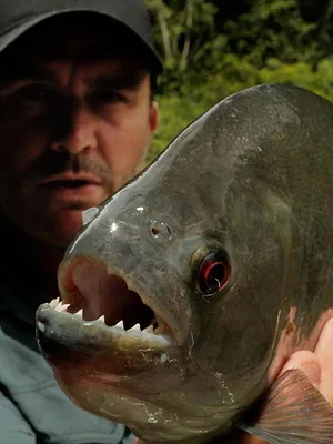 Pêche XXL