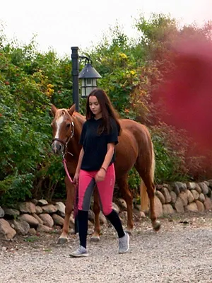 Die Tierärzte - Retter mit Herz