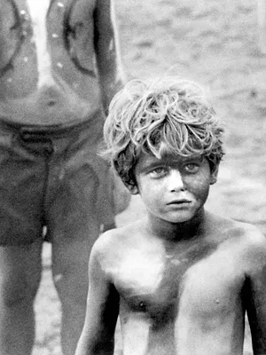 Sa Majesté des mouches