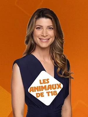 Les animaux de T18