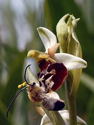 Bonnes nouvelles de la planète