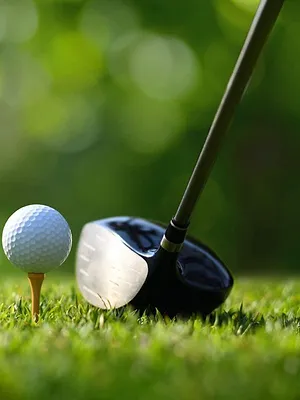 Histoire de champions Golf