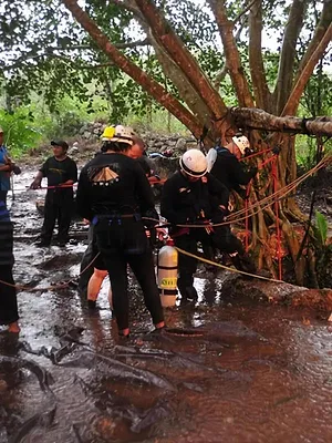De l'ombre à la lumière