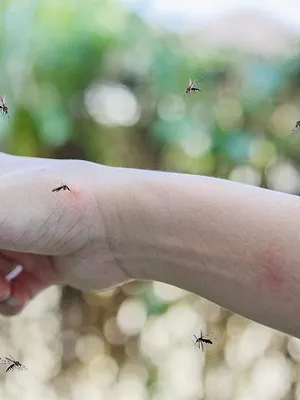 Steken en Prikken in Suriname