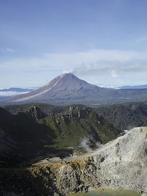 L'Indonésie sauvage