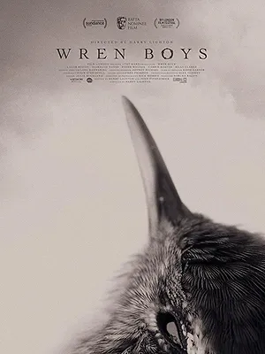Wren Boys