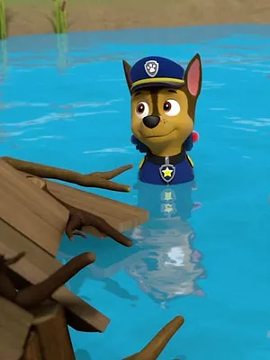 Paw Patrol, la Pat'Patrouille S2 E4