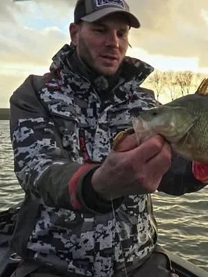 Ludo et les grosses perches