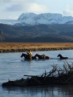 Alaska, la dernière frontière