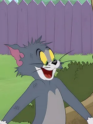 Tom et Jerry Show S4 E225