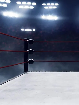 Kickboxing : ONE Friday Fights