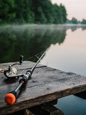 J'irai pêcher chez vous