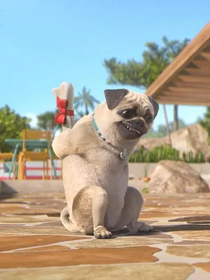 Mike, une vie de chien S1 E50