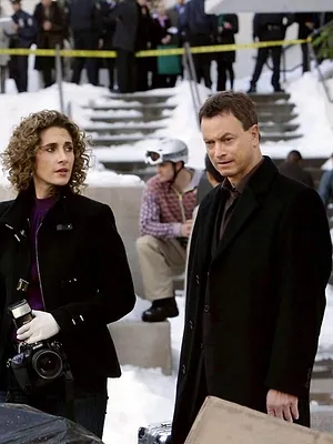 Les experts : Manhattan S5 E13