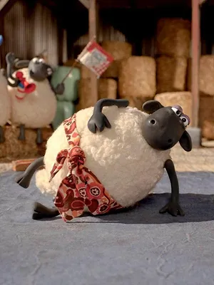 Shaun le champion S1 E19