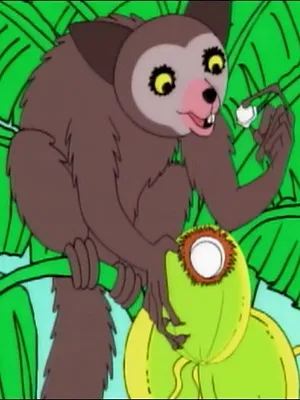 Barbapapa autour du monde S1 E50