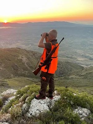 Les sangliers du Pays Cathare