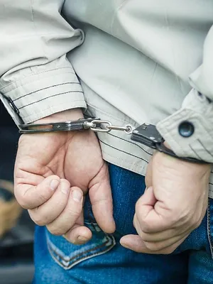 Borderforce USA : the Bridges