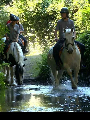 Au galop !