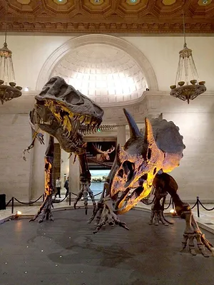 Mystères au musée
