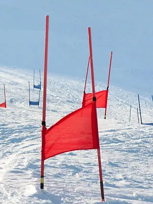 JO d'hiver : Jeux olympiques de Milan-Cortina 2026
