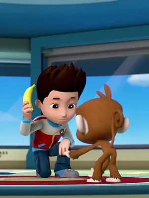 Paw Patrol, la Pat'Patrouille S1 E20