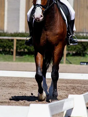 3 minutes pronos (quinté+)