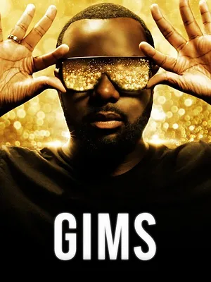 GIMS