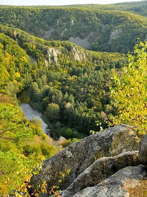 Wildnisse im Herzen Europas
