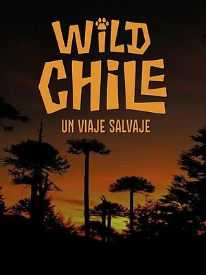 Wild Chile: Un viaje salvaje