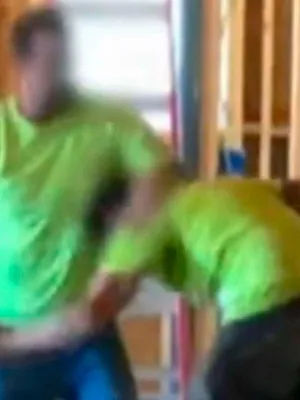 Sur le vif : vidéos insolites