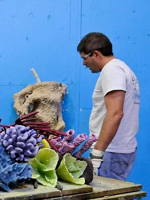 Les rois des aquariums
