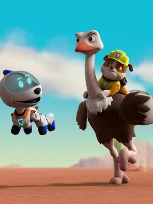 Paw Patrol, la Pat'Patrouille S6 E6
