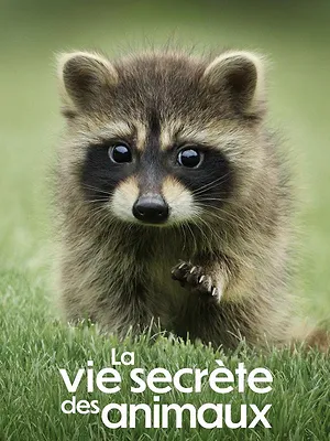 La Vie secrète des animaux