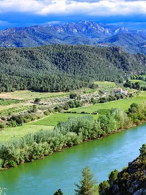 Ríos