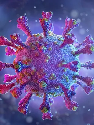 Apocalypse : le jour où un virus va décimer l'humanité