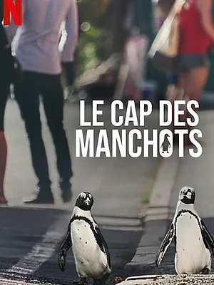 Le Cap des manchots