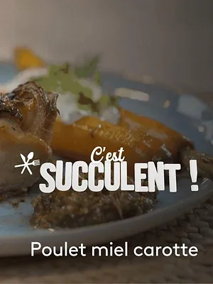 C'est succulent !