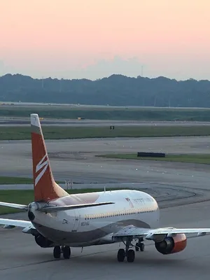 The Secret Life Of the Airport