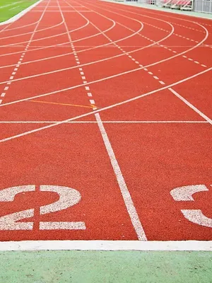 Jeux olympiques de Paris 2024