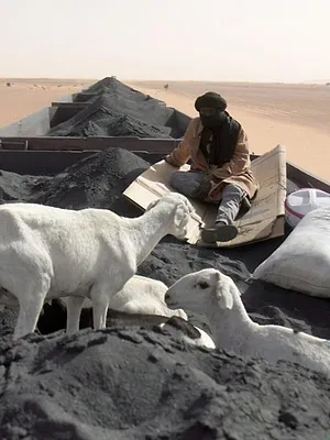 Mauritanie, le train du désert