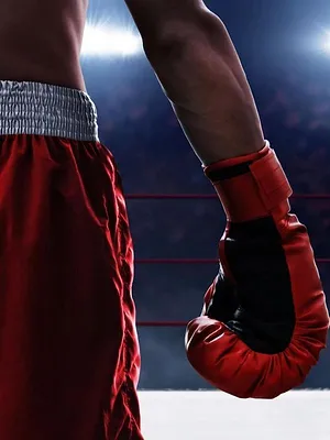 Format MMA
